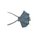RTCFFPC-TRIDENT-Flat-Fold-P2-Carbon-Valved-Side B.webp