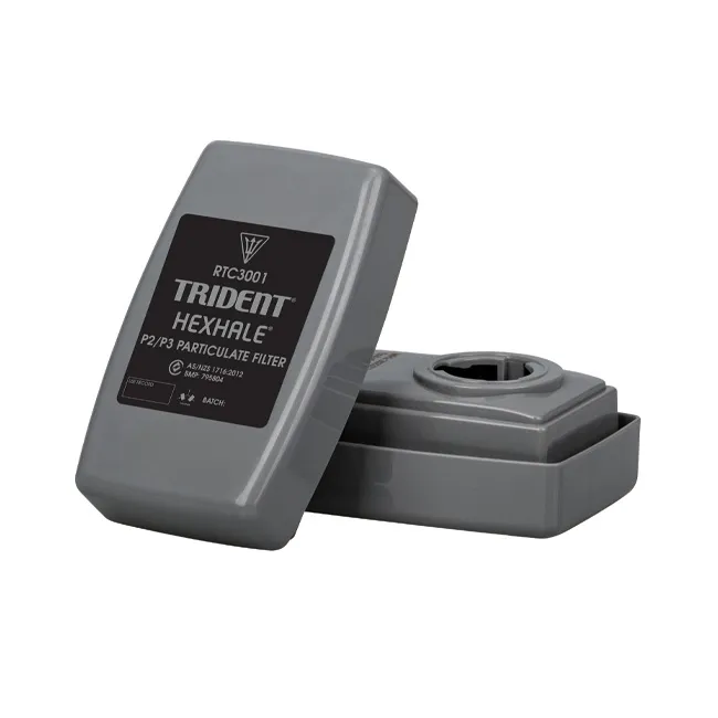 RTC3001-TRIDENT-HEXHALE-P3-Particulate-Filter.webp