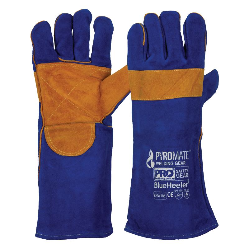 [KBW16E] Pyromate Blue Heeler - Blue & Gold Large