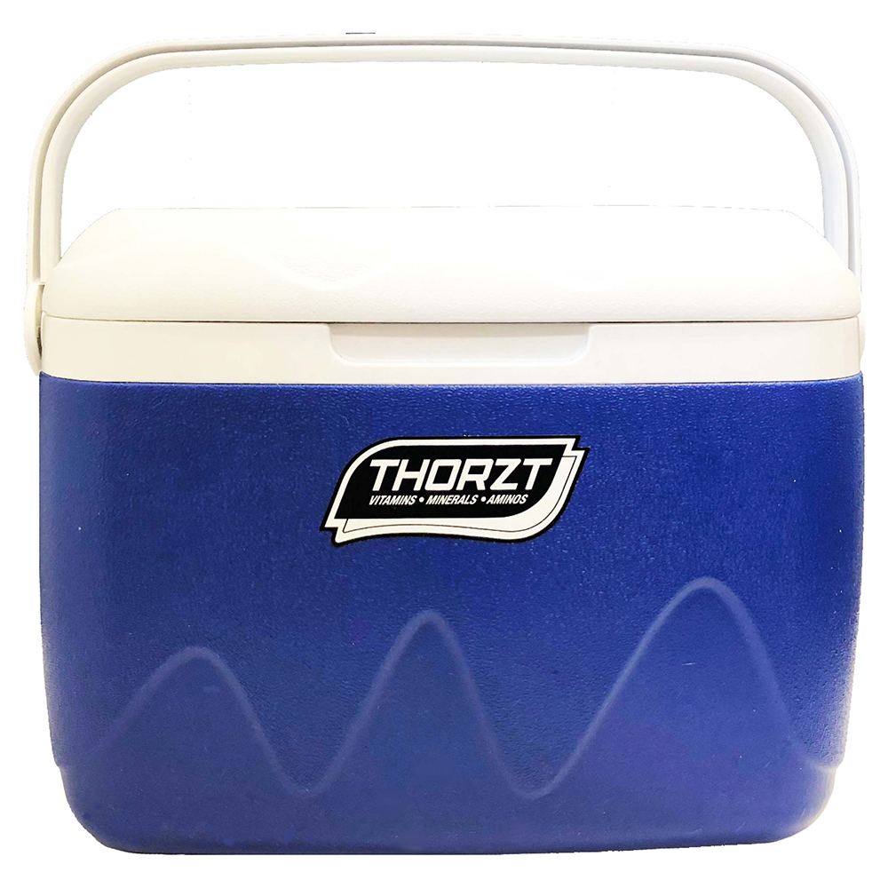 [IB21B] 21L Ice Box