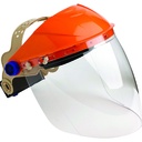 Striker Browguard & Economy Clear Visor Kit